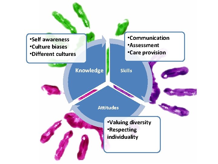  • Communication • Assessment • Care provision • Self awareness • Culture biases