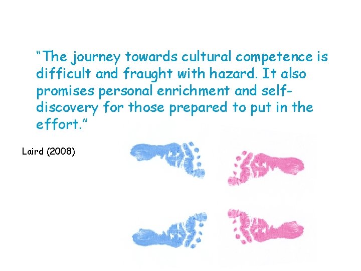 “The journey towards cultural competence is difficult and fraught with hazard. It also promises