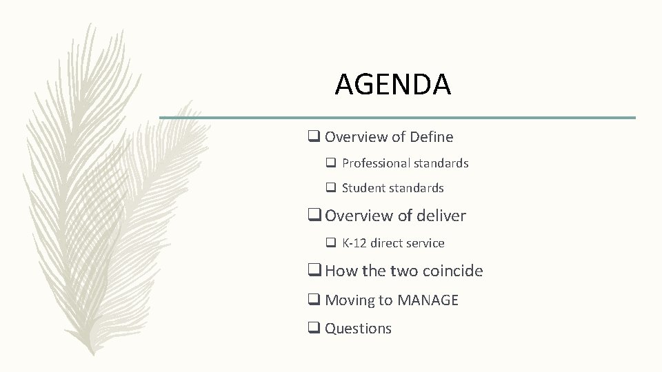 AGENDA q Overview of Define q Professional standards q Student standards q Overview of