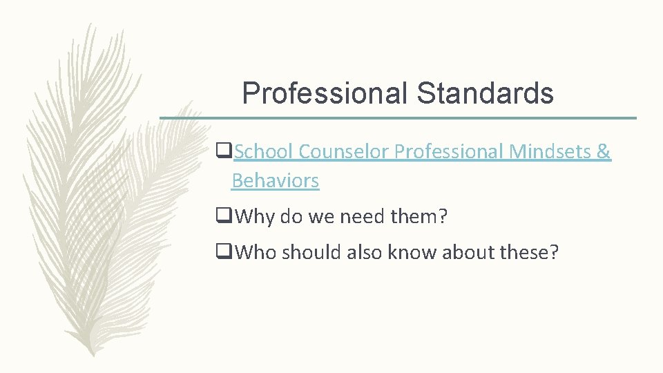 Professional Standards q. School Counselor Professional Mindsets & Behaviors q. Why do we need