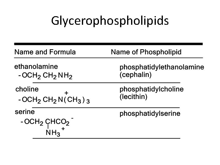 Glycerophospholipids 