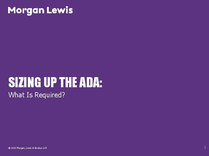 SIZING UP THE ADA: What Is Required? © 2015 Morgan, Lewis & Bockius LLP