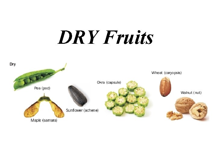 DRY Fruits 