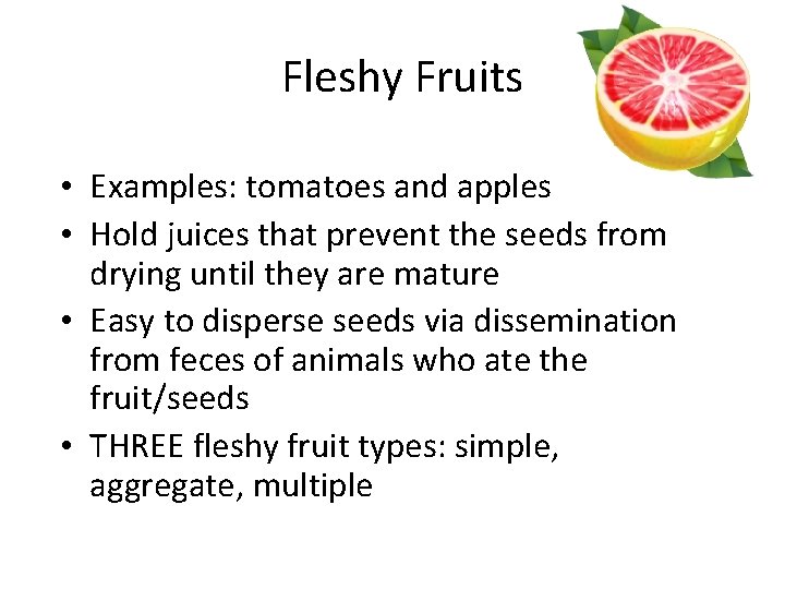 Fleshy Fruits • Examples: tomatoes and apples • Hold juices that prevent the seeds