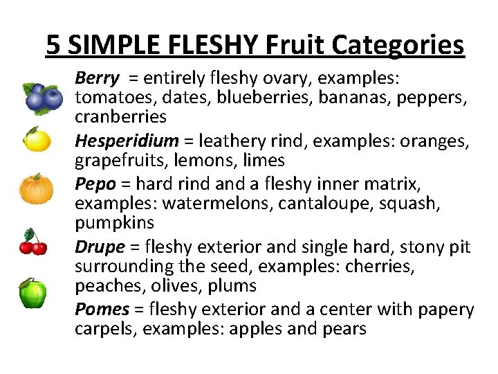 5 SIMPLE FLESHY Fruit Categories Berry = entirely fleshy ovary, examples: tomatoes, dates, blueberries,