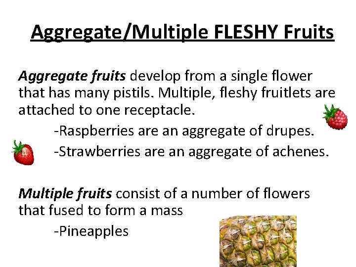 Aggregate/Multiple FLESHY Fruits Aggregate fruits develop from a single flower that has many pistils.