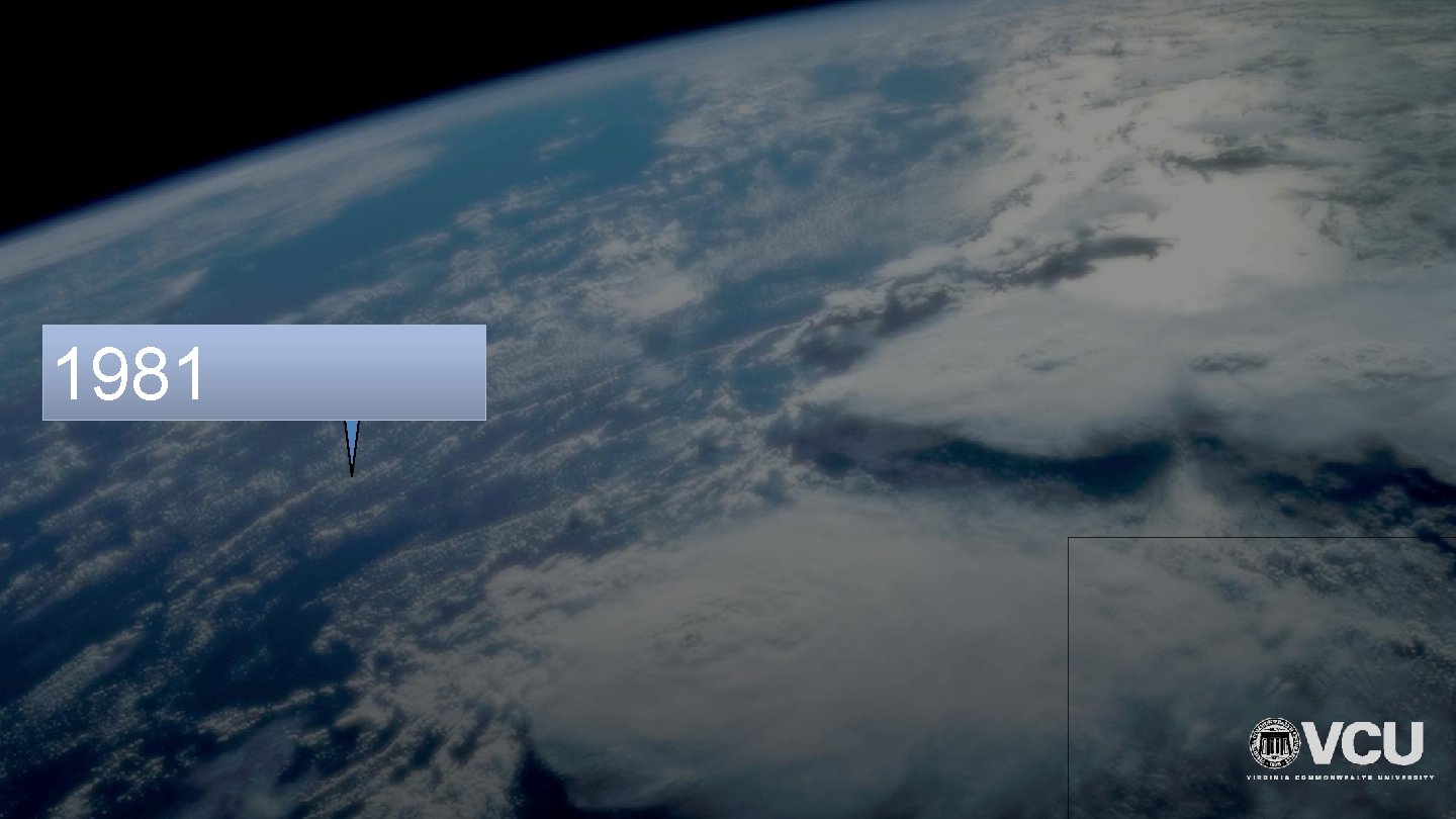 1981 