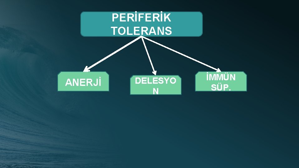 PERİFERİK TOLERANS ANERJİ DELESYO N İMMÜN SÜP. 