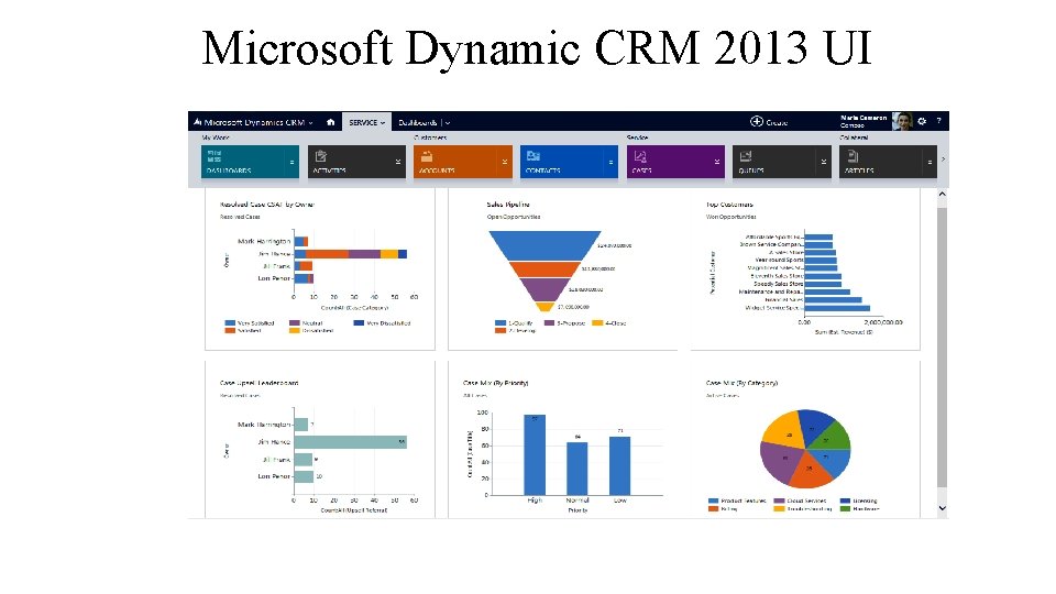 Microsoft Dynamic CRM 2013 UI 