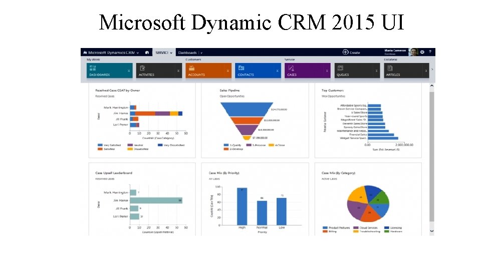 Microsoft Dynamic CRM 2015 UI 