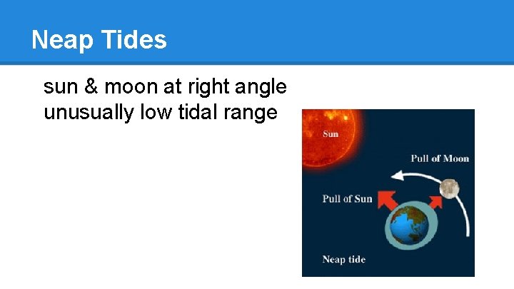 Neap Tides sun & moon at right angle unusually low tidal range 