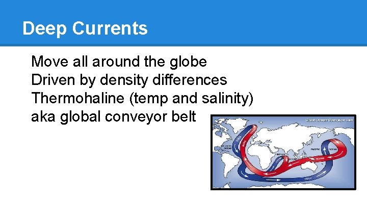 Deep Currents Move all around the globe Driven by density differences Thermohaline (temp and