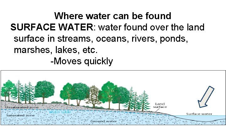 Where water can be found SURFACE WATER: water found over the land surface in
