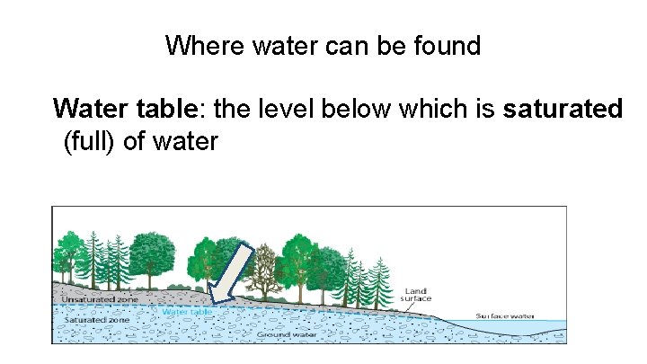 Where water can be found Water table: the level below which is saturated (full)