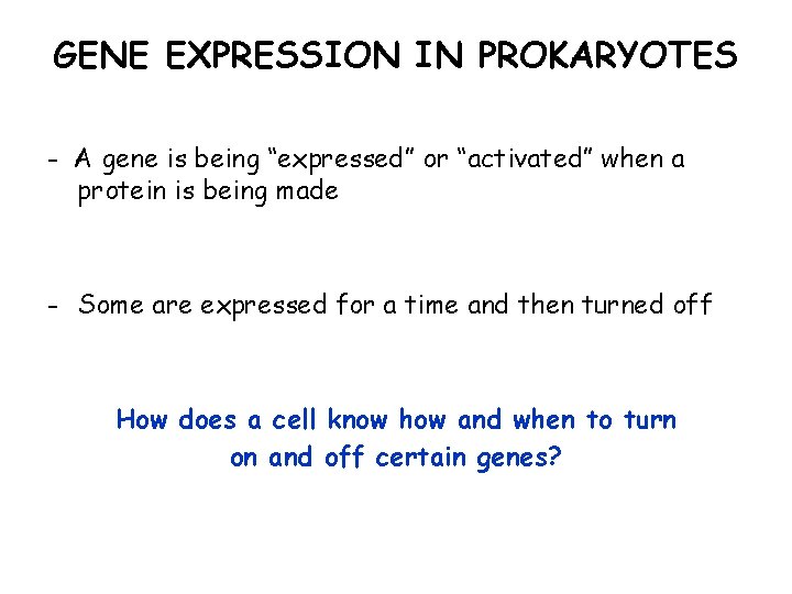 GENE EXPRESSION IN PROKARYOTES - A gene is being “expressed” or “activated” when a