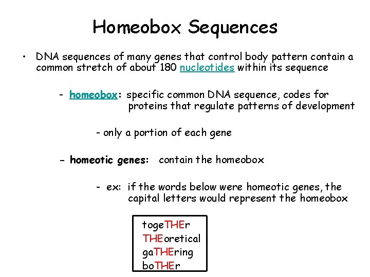 Homeobox Sequences • DNA sequences of many genes that control body pattern contain a