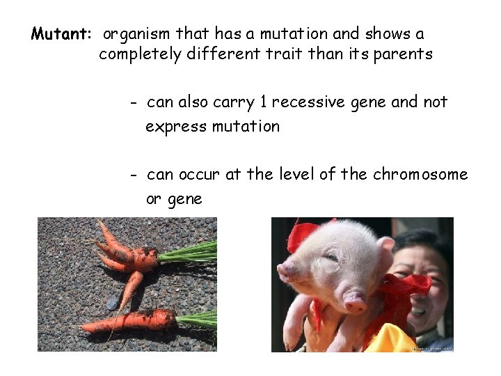 Mutant: organism that has a mutation and shows a completely different trait than its