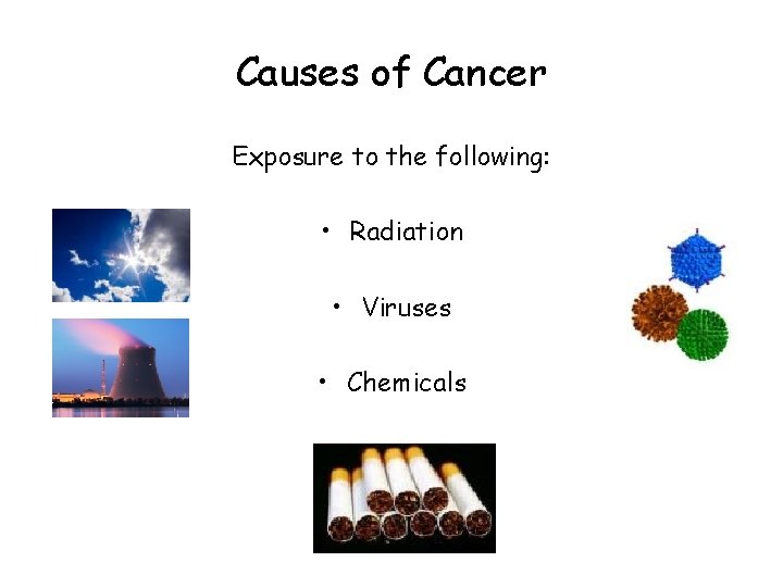 Causes of Cancer Exposure to the following: • Radiation • Viruses • Chemicals 