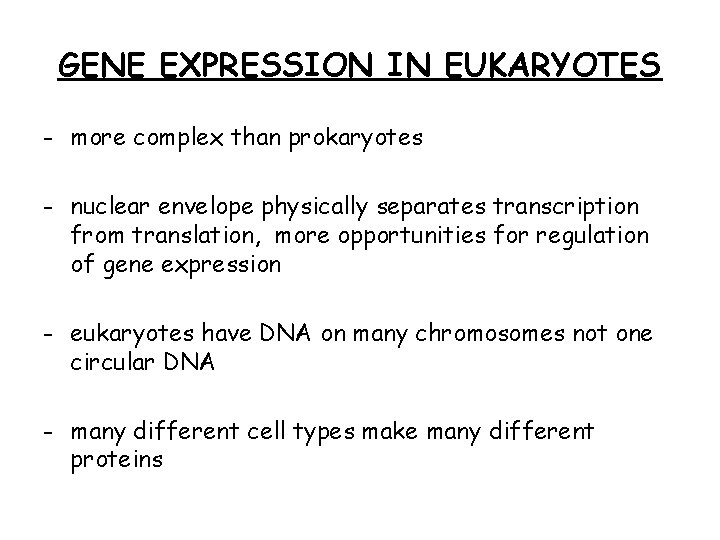 GENE EXPRESSION IN EUKARYOTES - more complex than prokaryotes - nuclear envelope physically separates