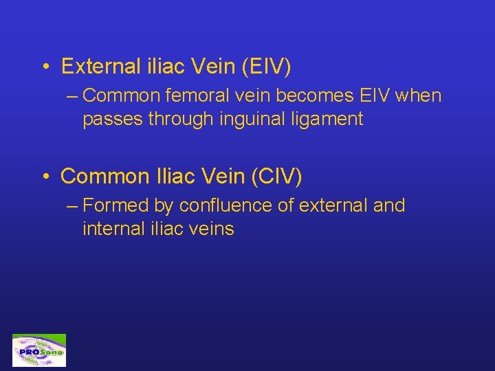  • External iliac Vein (EIV) – Common femoral vein becomes EIV when passes