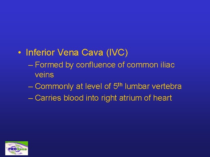  • Inferior Vena Cava (IVC) – Formed by confluence of common iliac veins