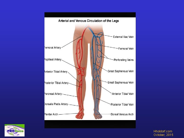 Hholdorf. com October, 2015 