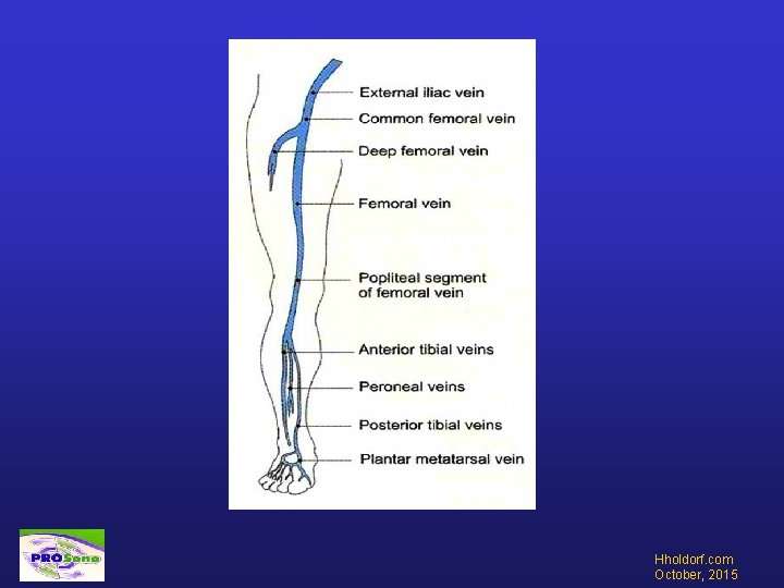 Hholdorf. com October, 2015 