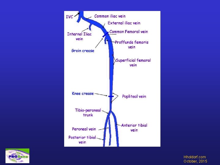 Hholdorf. com October, 2015 