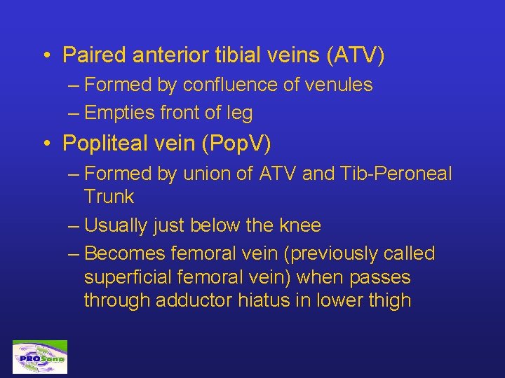  • Paired anterior tibial veins (ATV) – Formed by confluence of venules –