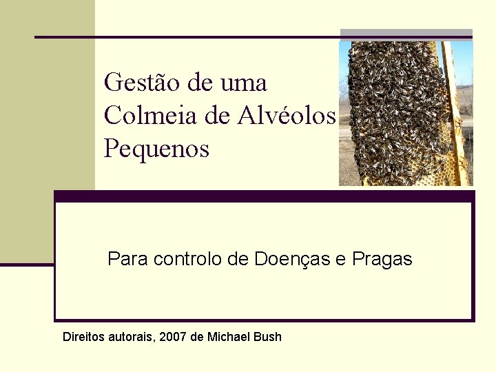 Gestão de uma Colmeia de Alvéolos Pequenos Para controlo de Doenças e Pragas Direitos