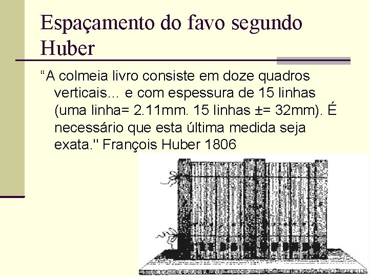 Espaçamento do favo segundo Huber “A colmeia livro consiste em doze quadros verticais… e