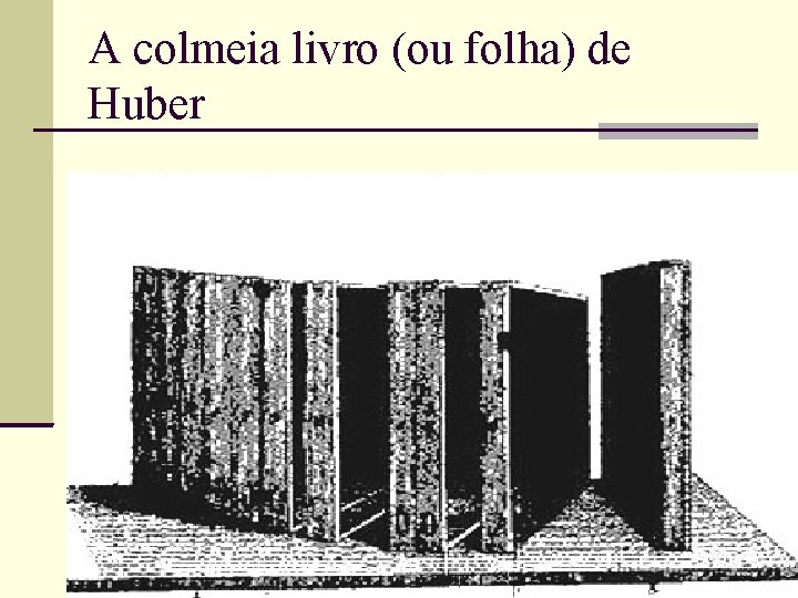 A colmeia livro (ou folha) de Huber 