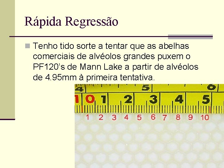 Rápida Regressão Tenho tido sorte a tentar que as abelhas comerciais de alvéolos grandes