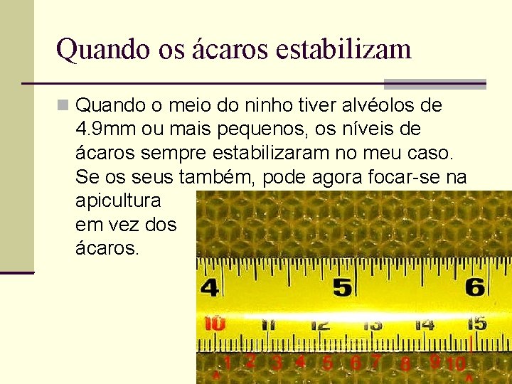 Quando os ácaros estabilizam Quando o meio do ninho tiver alvéolos de 4. 9