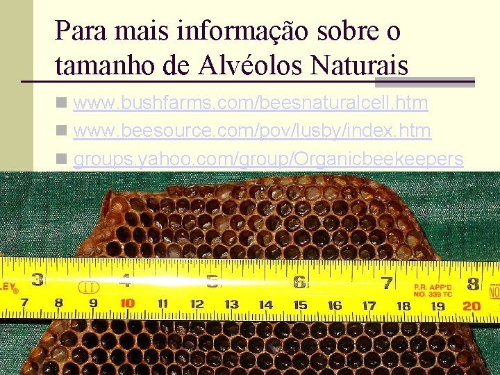 Para mais informação sobre o tamanho de Alvéolos Naturais www. bushfarms. com/beesnaturalcell. htm www.