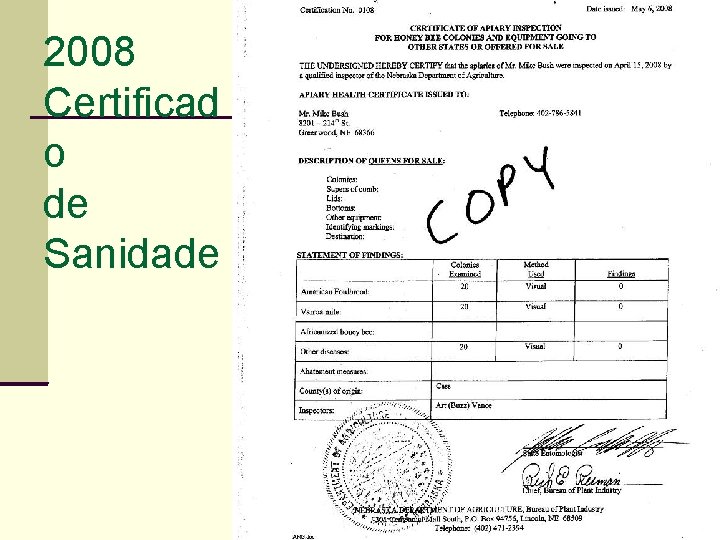 2008 Certificad o de Sanidade 