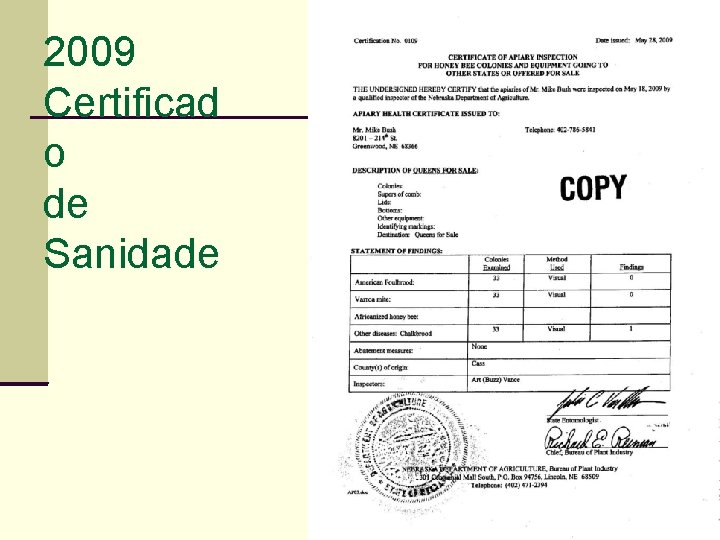 2009 Certificad o de Sanidade 