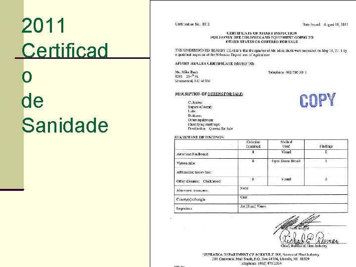 2011 Certificad o de Sanidade 