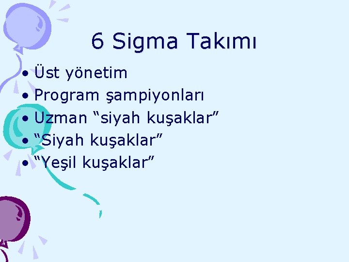 6 Sigma Takımı • Üst yönetim • Program şampiyonları • Uzman “siyah kuşaklar” •