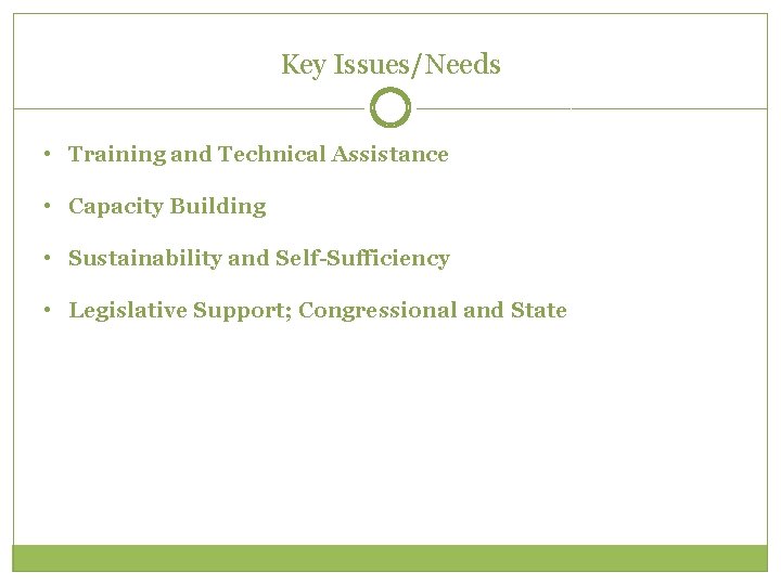 Key Issues/Needs • Training and Technical Assistance • Capacity Building • Sustainability and Self-Sufficiency Key Issues/Needs • Training and Technical Assistance • Capacity Building • Sustainability and Self-Sufficiency