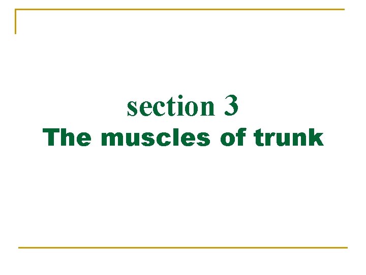 section 3 The muscles of trunk 