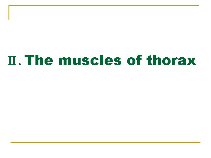 Ⅱ. The muscles of thorax 