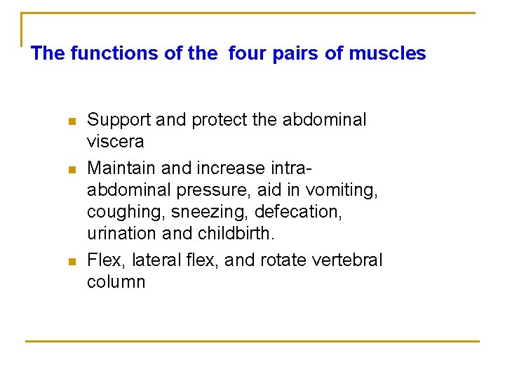 The functions of the four pairs of muscles n n n Support and protect