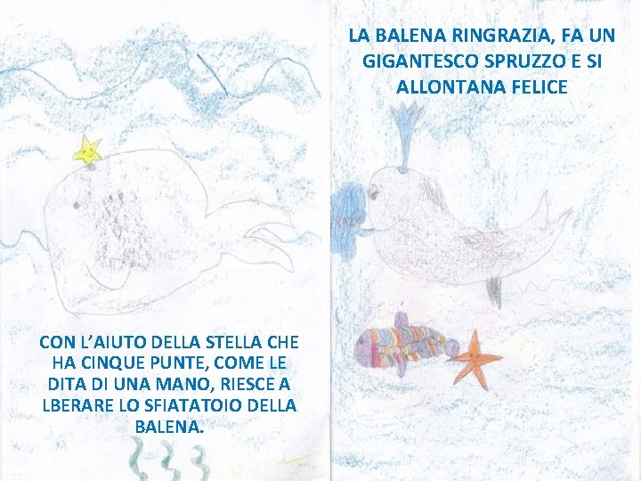 LA BALENA RINGRAZIA, FA UN GIGANTESCO SPRUZZO E SI ALLONTANA FELICE CON L’AIUTO DELLA