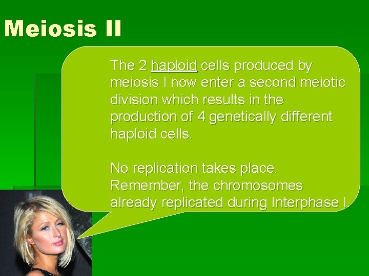 Meiosis II The 2 haploid cells produced by meiosis I now enter a second
