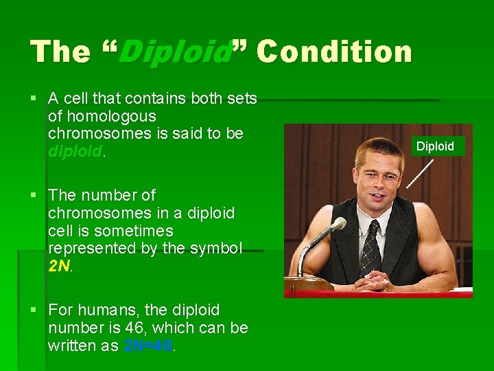The “Diploid” Condition § A cell that contains both sets of homologous chromosomes is