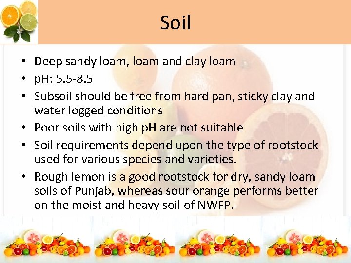 Soil • Deep sandy loam, loam and clay loam • p. H: 5. 5