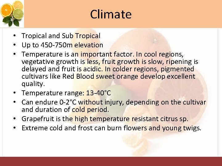 Climate • Tropical and Sub Tropical • Up to 450 -750 m elevation •