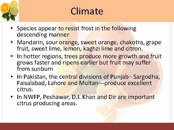 Climate • Species appear to resist frost in the following descending manner • Mandarin,