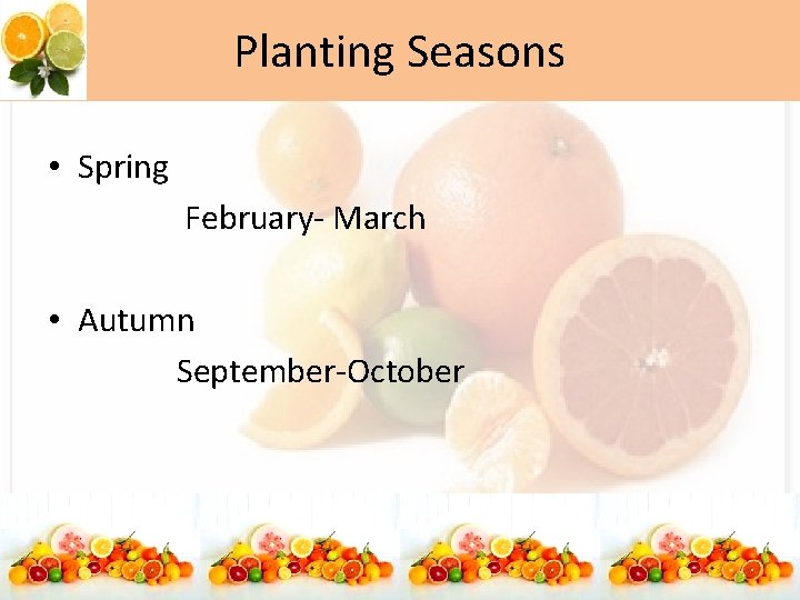 Planting Seasons • Spring February- March • Autumn September-October 